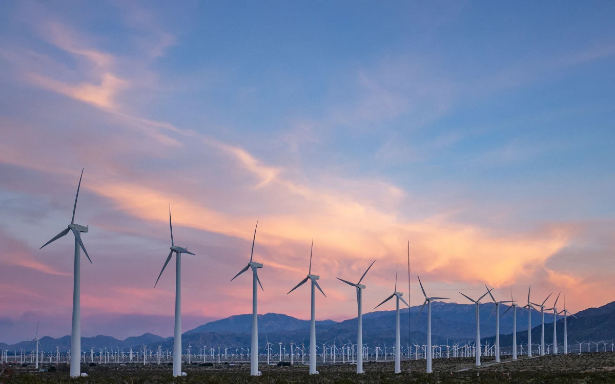 Renewable Energy